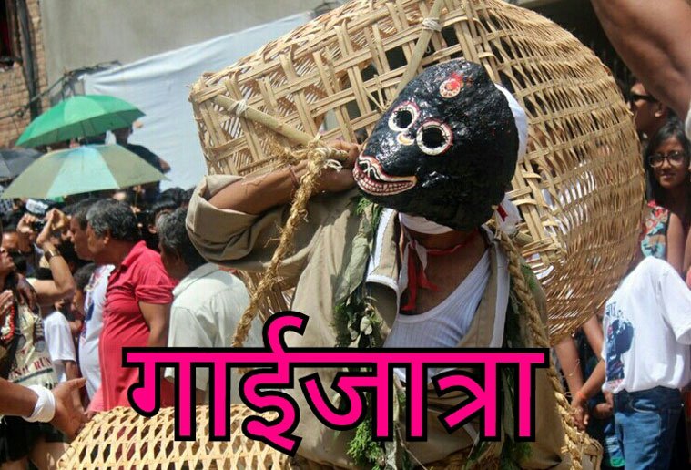 आज ‘गाईजात्रा’ : दिवङ्गत आफन्तको सम्झनामा मनाइँदै,यस्तो छ धार्मिक कारण !