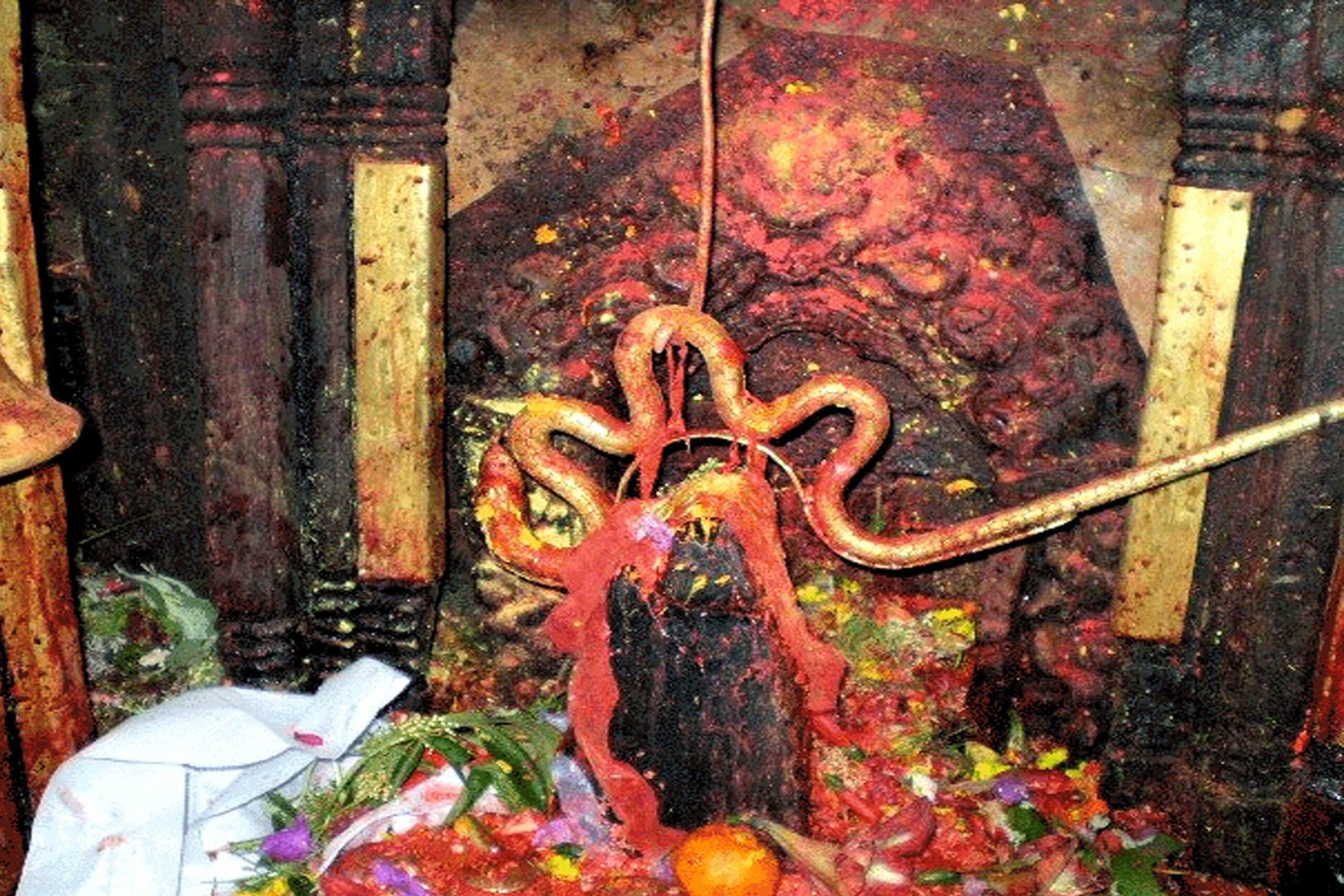 दोलखाको भीमेश्वरलाई पसिना आयो, भोलि राष्ट्रपतिसमक्ष महाप्रसाद पठाइने