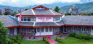 गण्डकी प्रदेशमा दीपक मनाङेसहित ५ जना मन्त्री नियुक्त
