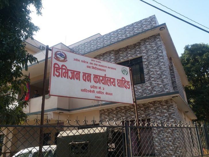 डिभिजन वन कार्यालय,धादिङको विरुवा वितरण सम्बन्धि सूचना !