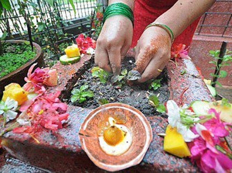आज हरिशयनी एकादशी:घरघरमा तुलसीको बिरुवा रोपेर मनाइँदै