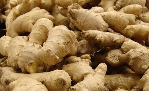 अदुवा खेतीबाट उत्साहित किसान, जर्मनी निर्यात हुँदै