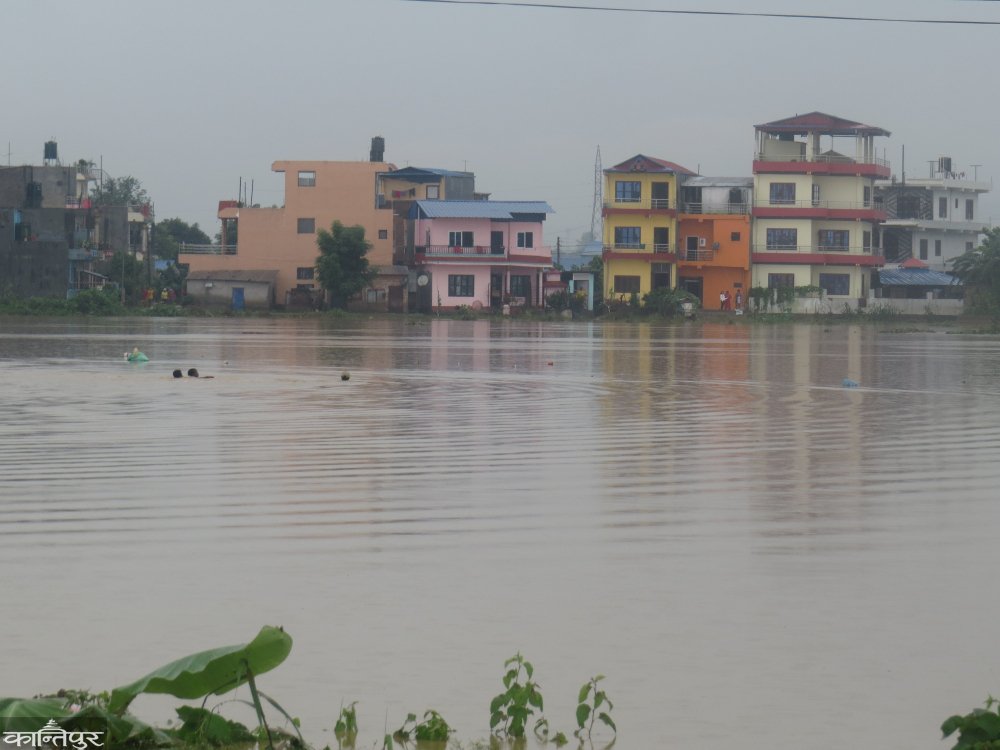 चितवनको विभिन्न ठाउँहरु जलमग्न