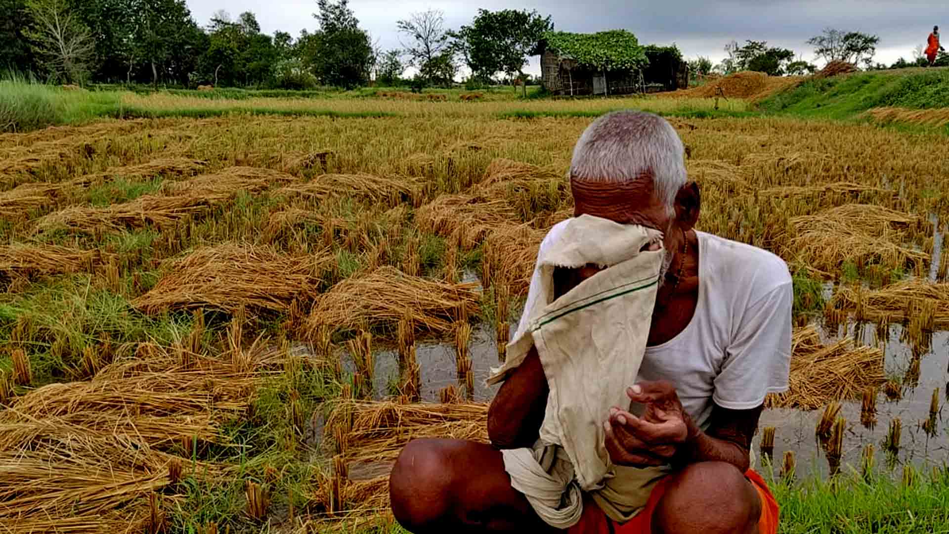 किसानका आँखामा आँशु:कसरी ऋण तिर्ने ? कसरी परिवार पाल्ने ?