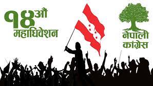 कांग्रेस महाधिवेशन : १३ पदाधिकारीसहित एक सय ३४ जना निर्वाचनबाट चुनिँदै