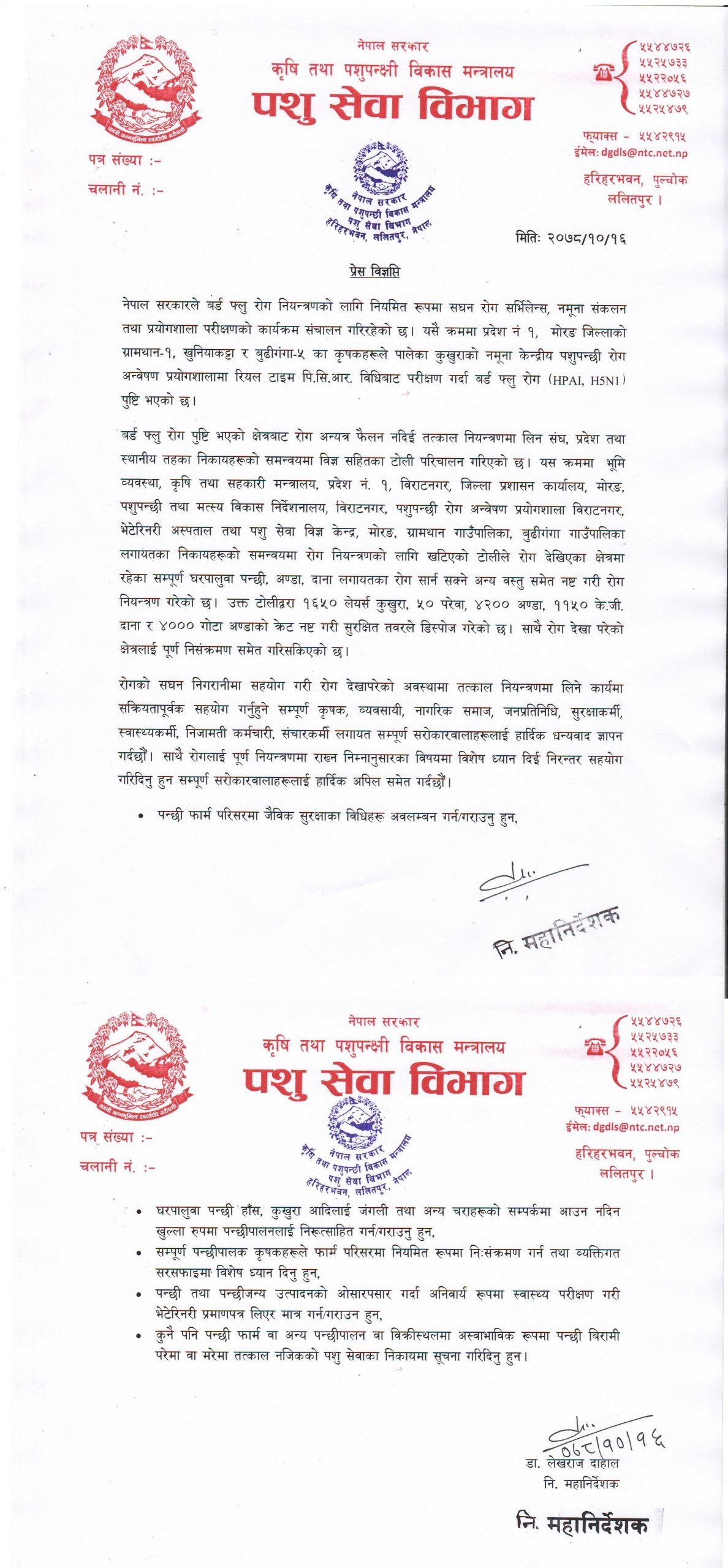 नेपालमा फेरि बर्डफ्लू, माेरङमा कुखुरा नष्ट
