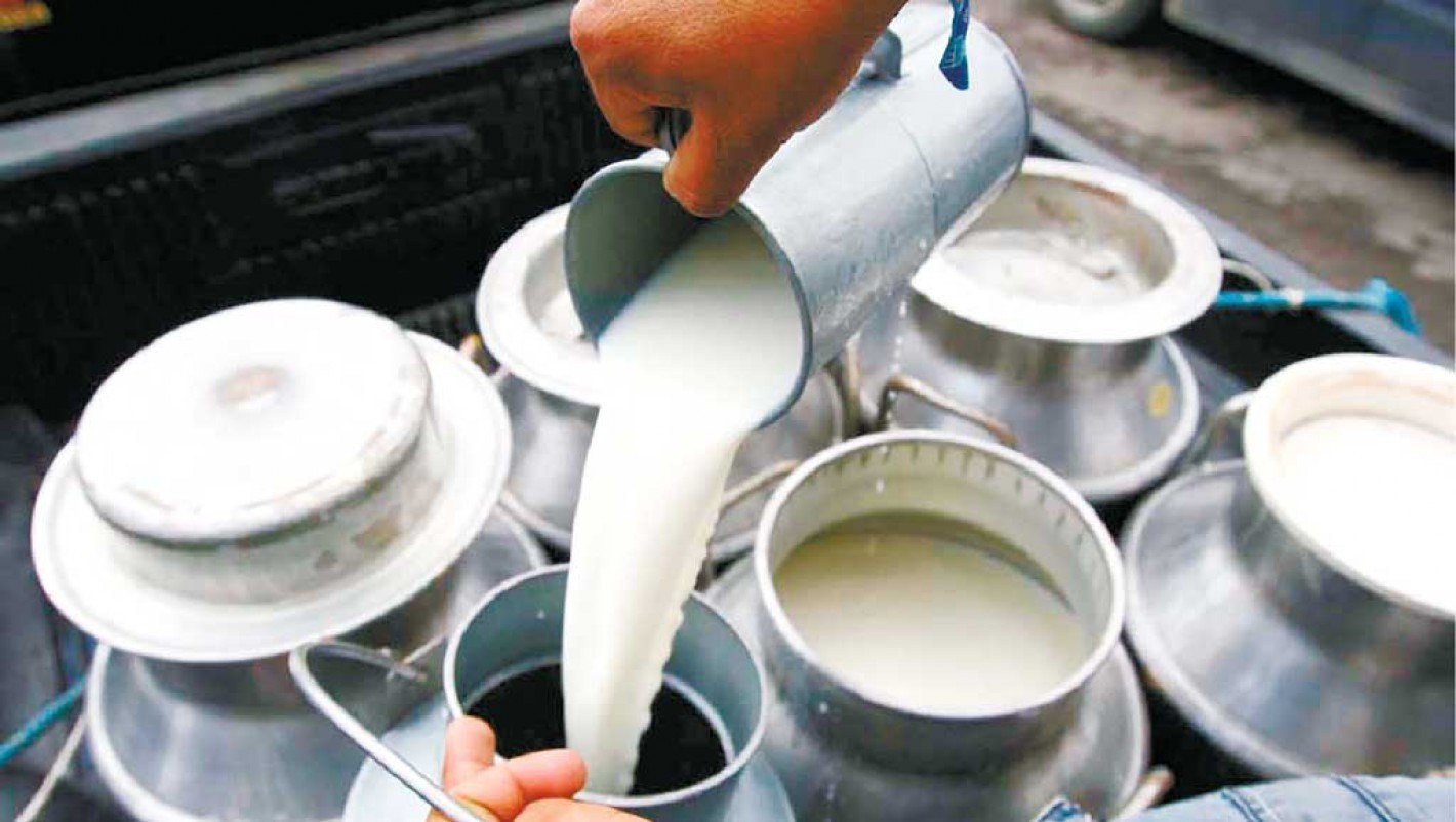दुग्ध उत्पादक किसानलाई अनुदान