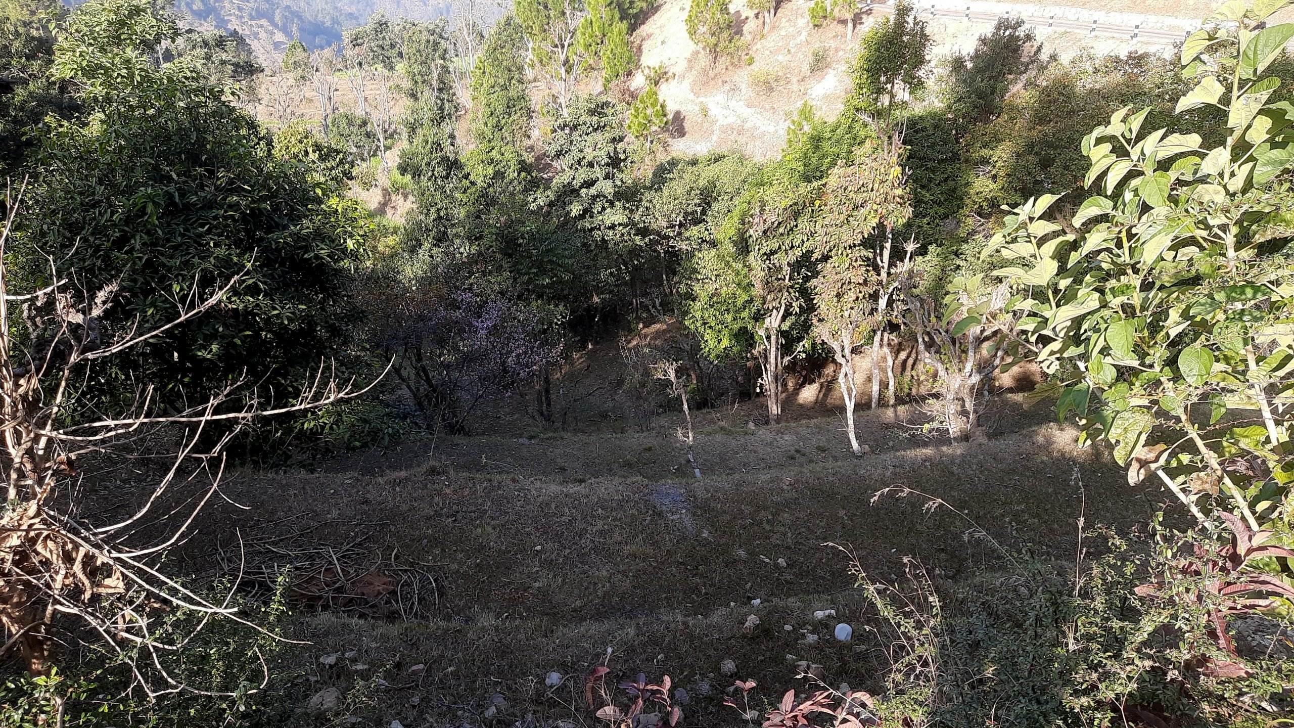 सडकले कुलो भत्काउँदा २०० रोपनी खेत ८ वर्षदेखि बाँझै