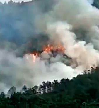 चीनमा १३३ यात्रु सवार जेट विमान दुर्घटनाग्रस्त