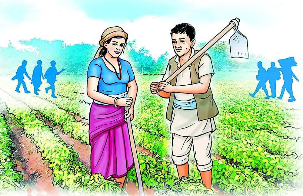आजदेखि कृषि गणना सुरु
