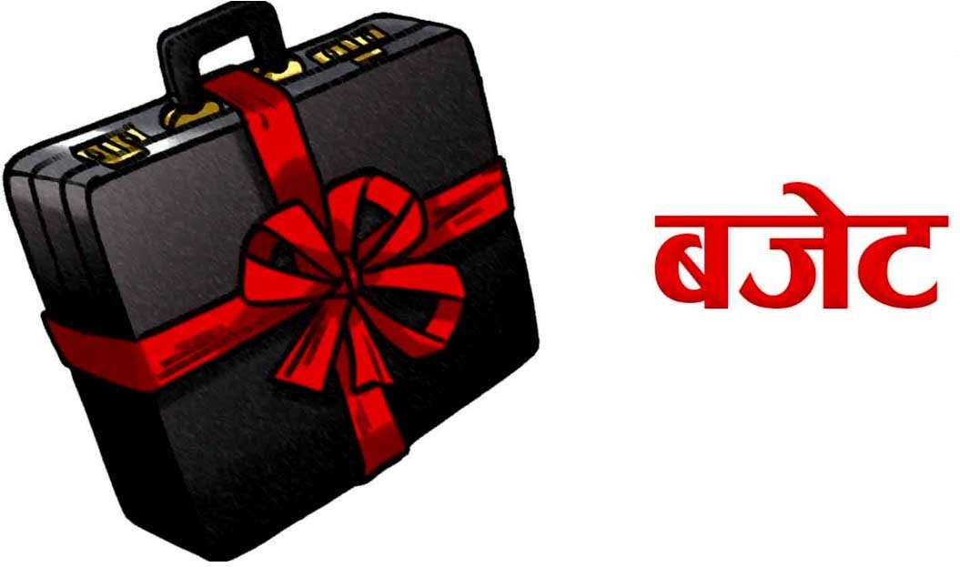६३ स्थानीय तहले बजेट पेश गरेनन्