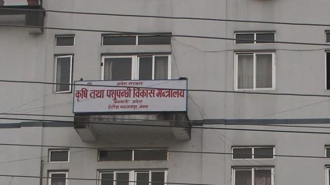 विपद् प्रभावित किसानलाई राहत