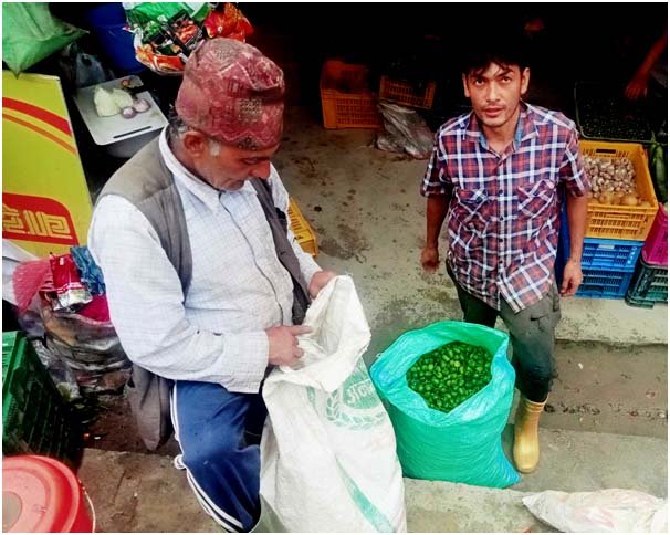 अकबरे खुर्सानी खेतीबाट मनग्य आम्दानी