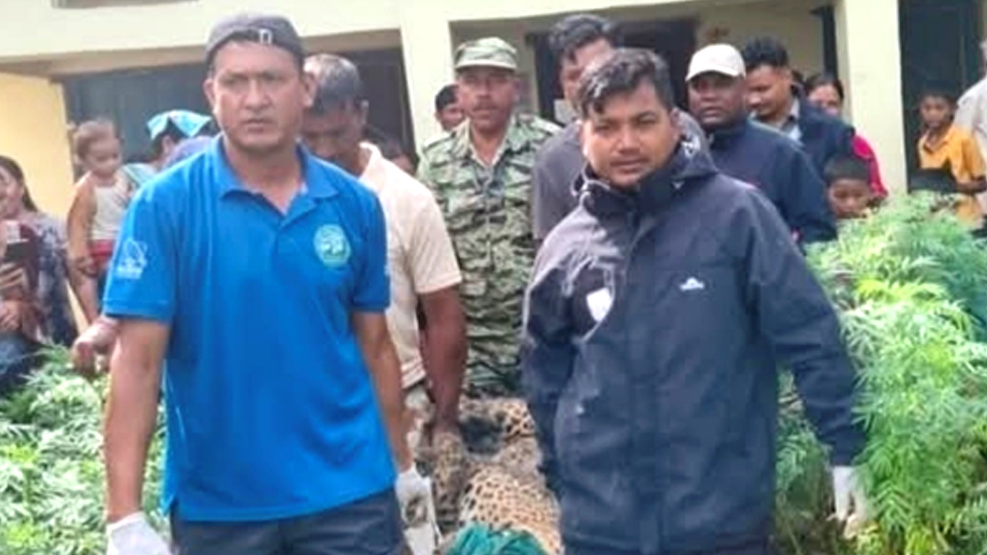 समस्याग्रस्त वन्यजन्तु नियन्त्रणमा लिन प्राविधिक टोली परिचालन
