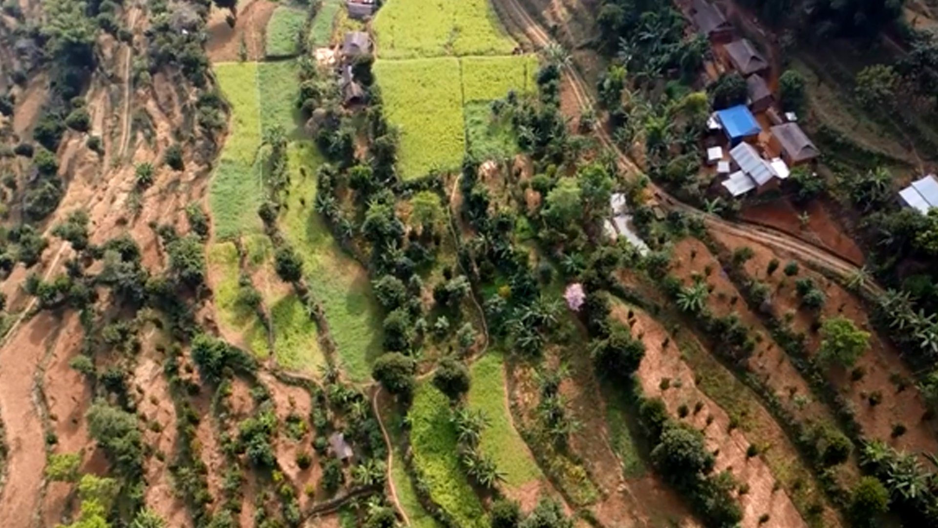 व्यावसायिक फलफूलखेतीतर्फ भुल्केका किसानको आकर्षण