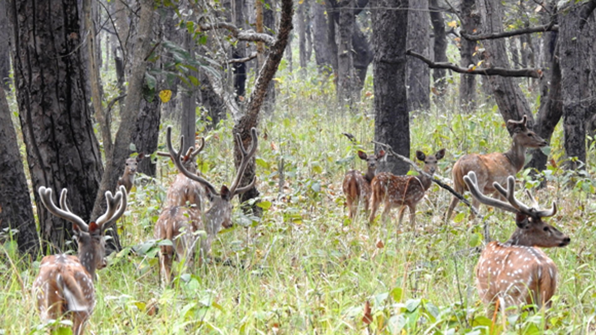छ महिनामा दुई हजार छ सय पर्यटकले गरे शुक्लाफाँटा भ्रमण