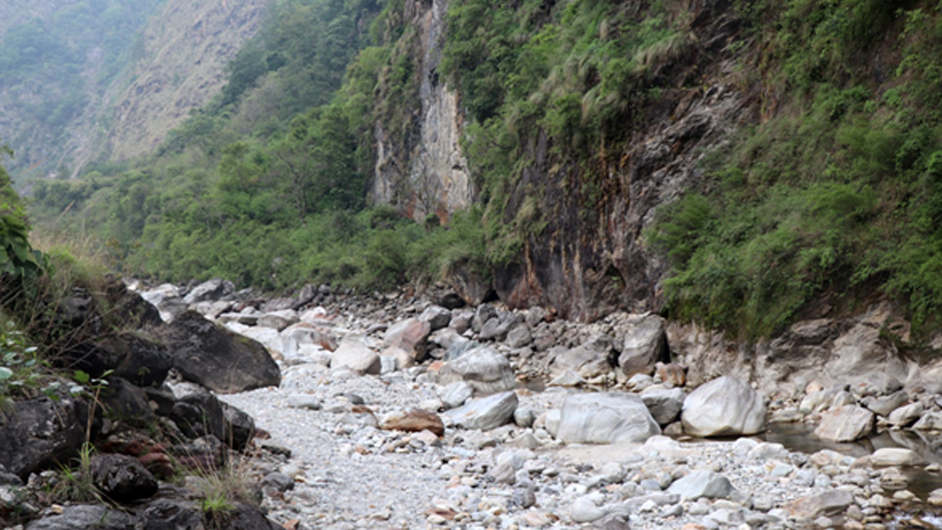 मिस्त्रीखोलामा माछा पाइन छाडे