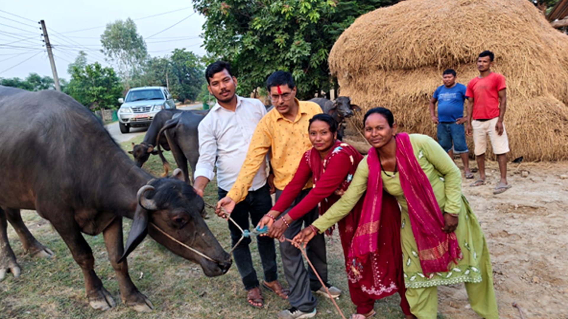 जीविकोपार्जनमा ‘भैँसीपालन कार्यक्रम’ सञ्चालन
