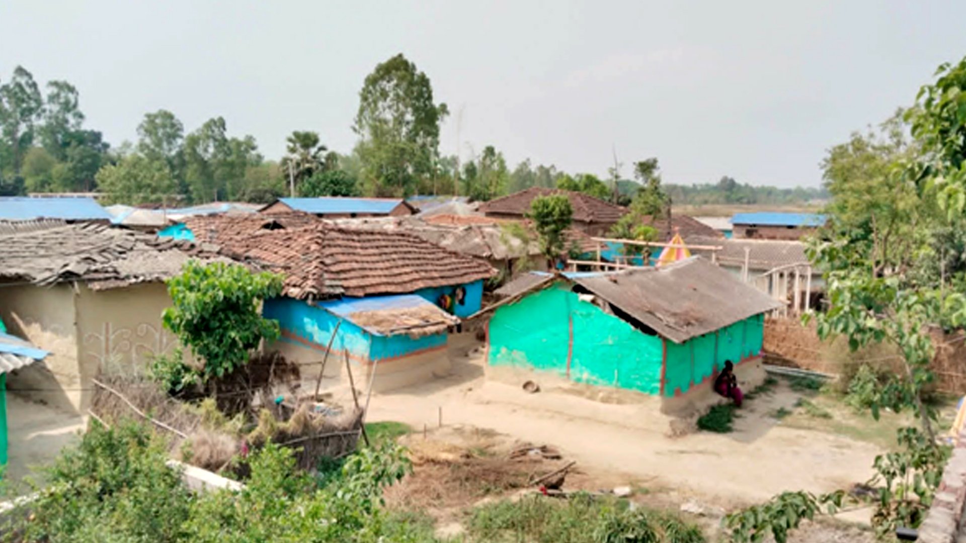 दशकअघि खुला दिसामुक्त घोषणा, मुसहर बस्ती अझै शौचालयविहीन